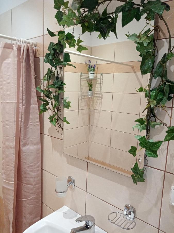 Roses 2 Διαμέρισμα Σκάλα Σωτήρος Εξωτερικό φωτογραφία