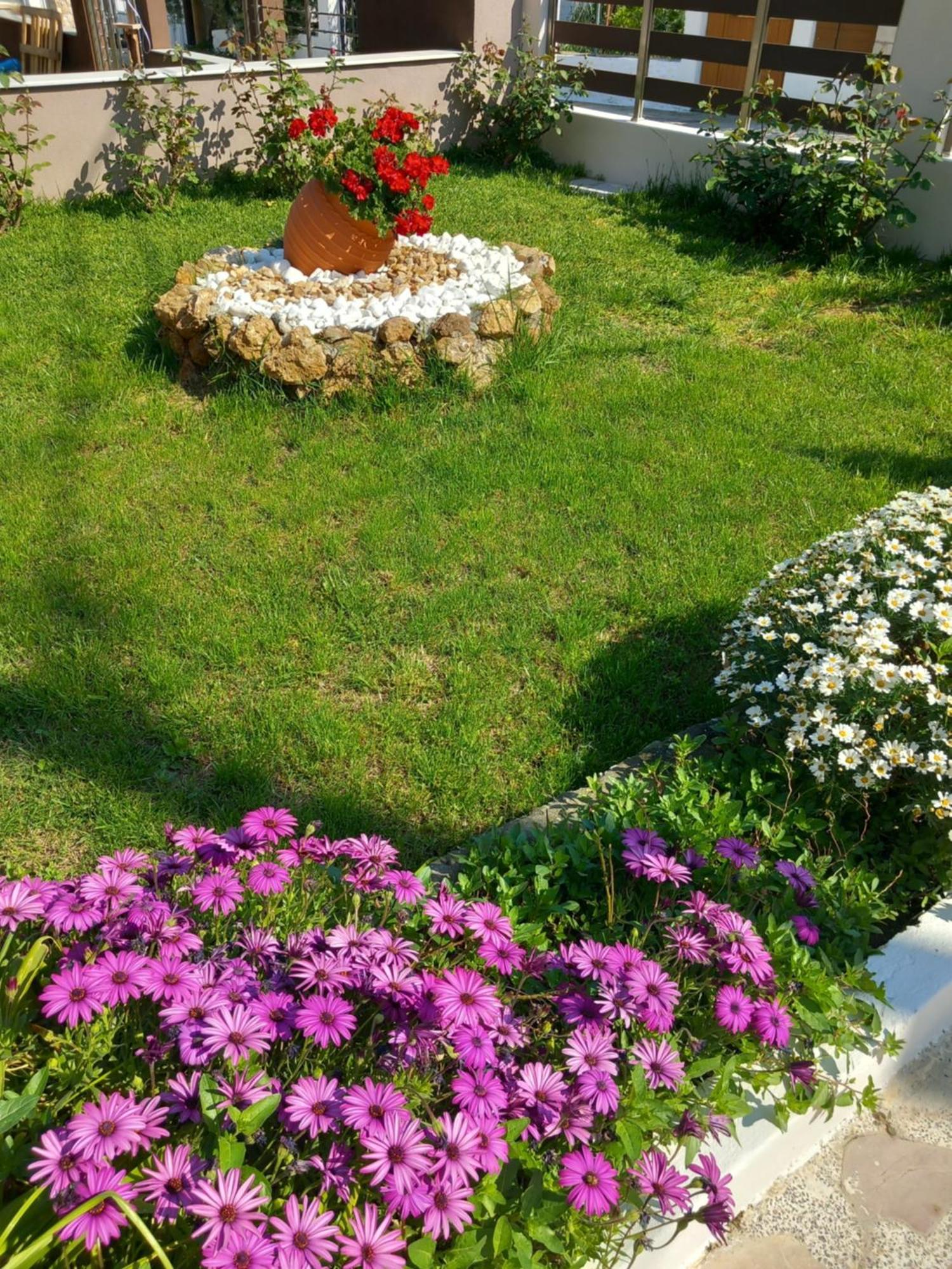 Roses 2 Διαμέρισμα Σκάλα Σωτήρος Εξωτερικό φωτογραφία
